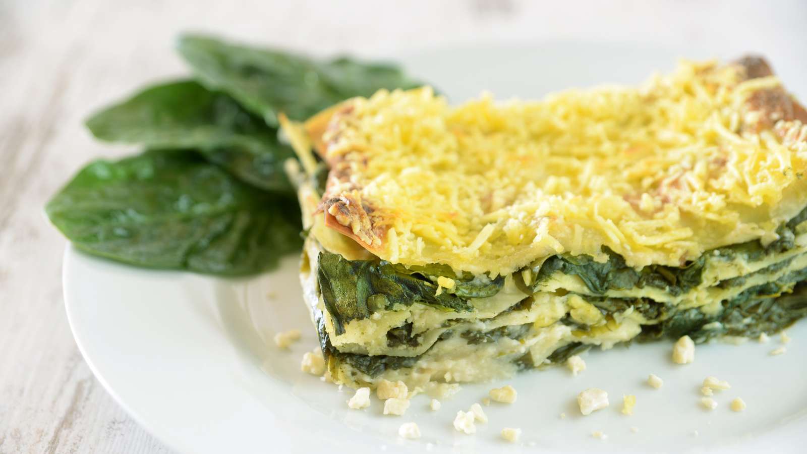 Lasagne Rezepte