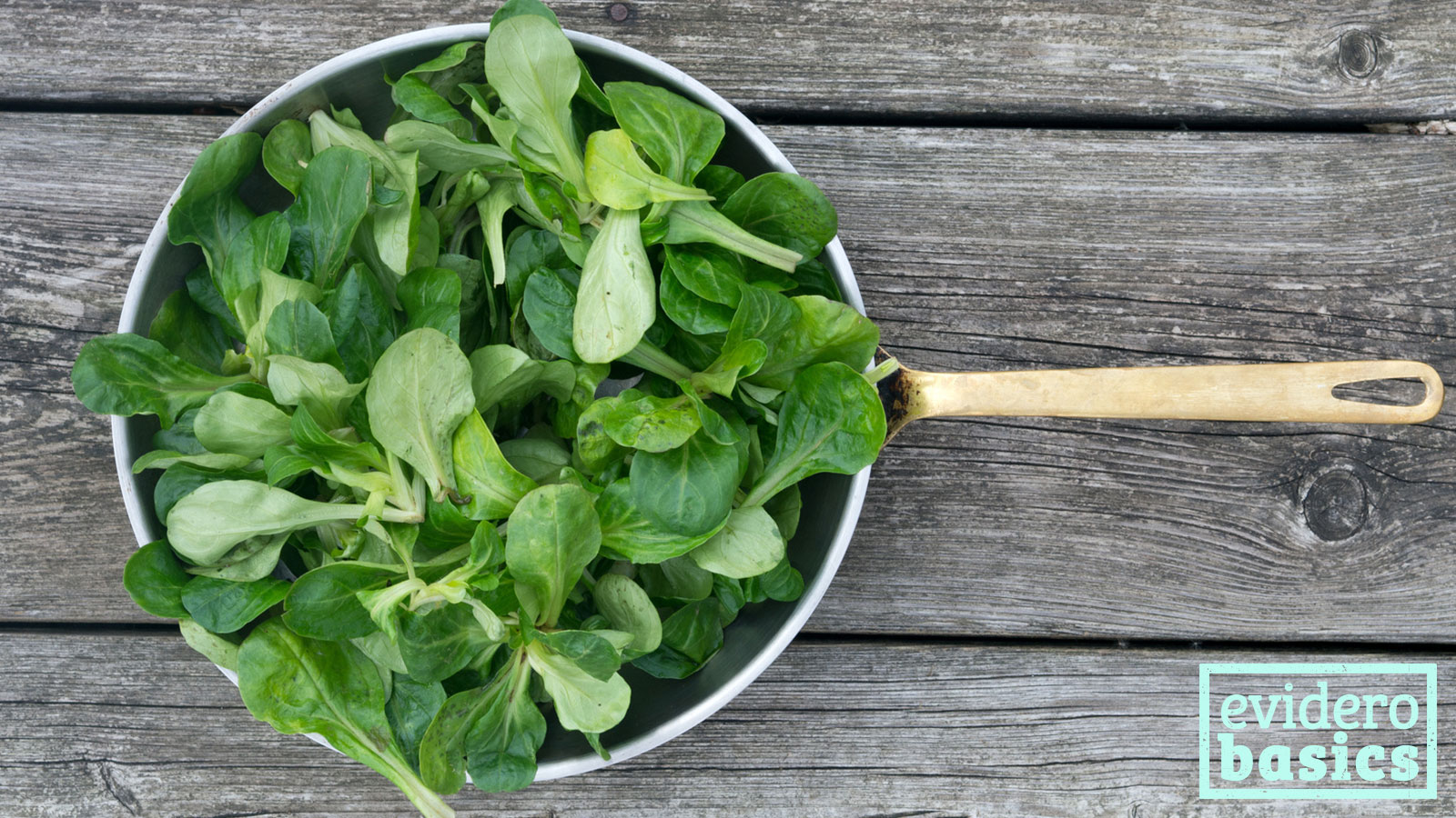 Feldsalat ist der Salat mit dem meisten Vitamin A und C | evidero