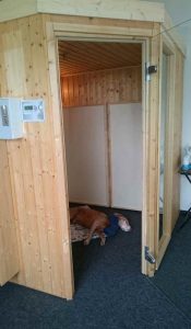 Die Hundesauna
